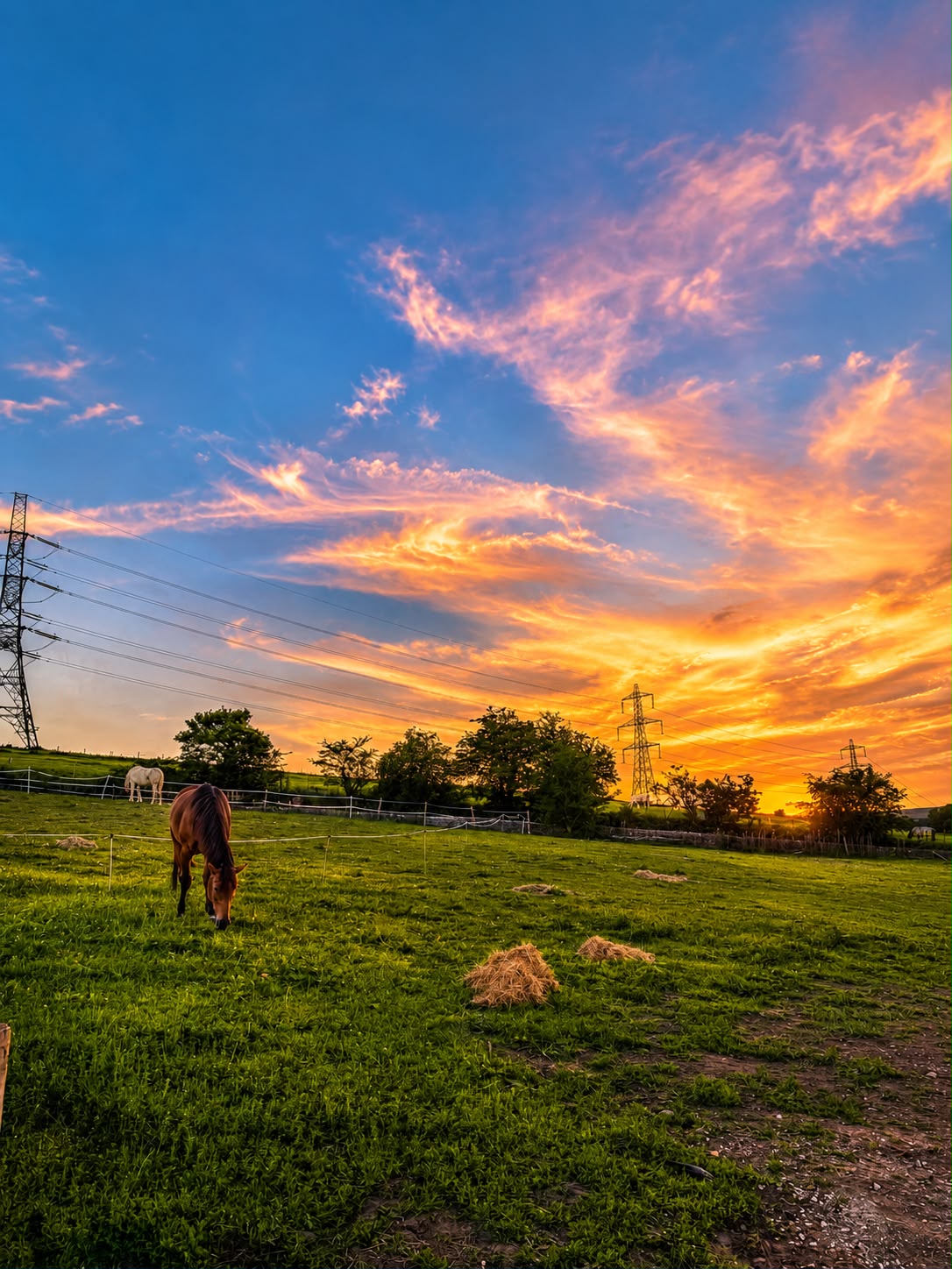 A horse grazing in a green field beneath a vivid orange sunset sky